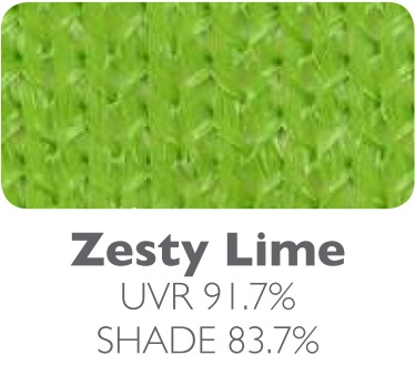 Zesty Lime